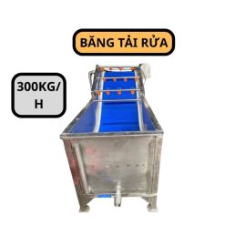 Băng tải rửa nông sản 300kg TPT59